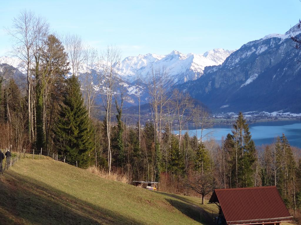 西里酒店 Hofstetten bei Brienz 客房 照片