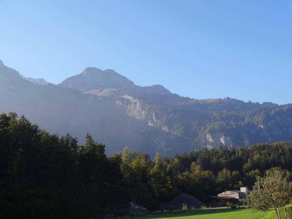 西里酒店 Hofstetten bei Brienz 客房 照片