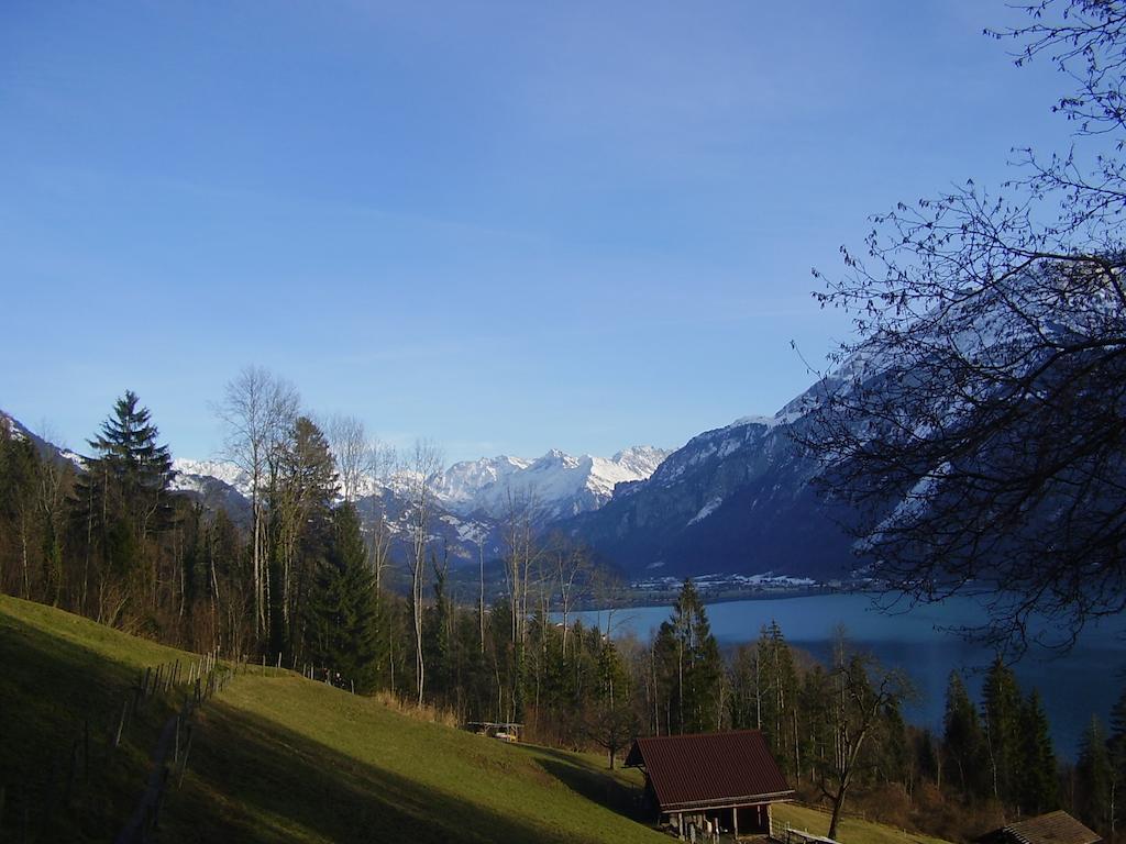 西里酒店 Hofstetten bei Brienz 客房 照片