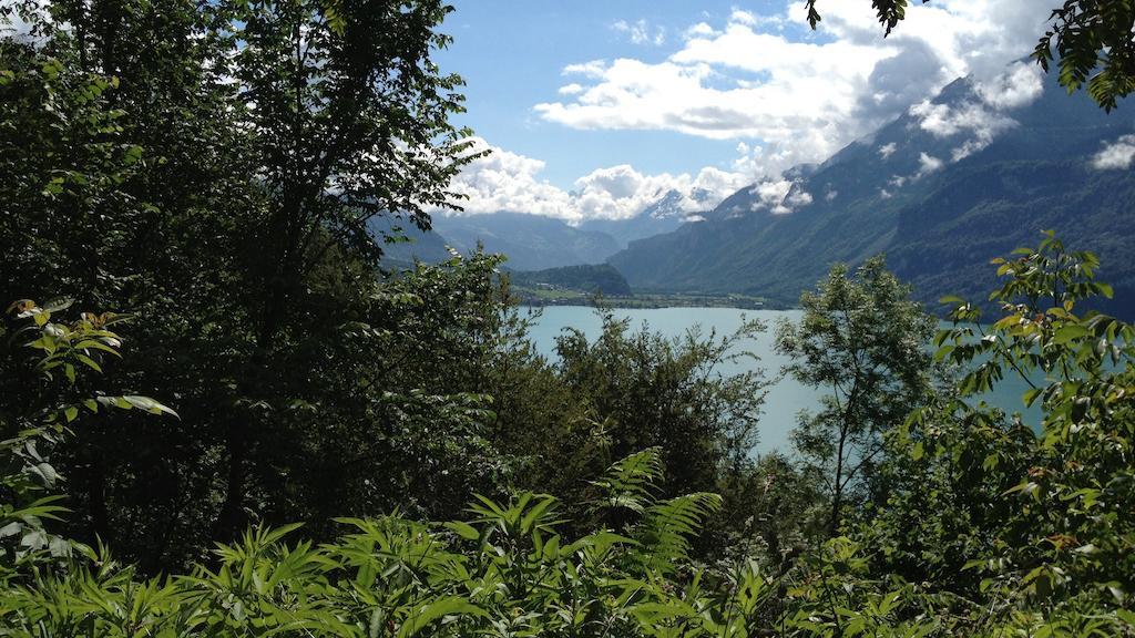 西里酒店 Hofstetten bei Brienz 客房 照片
